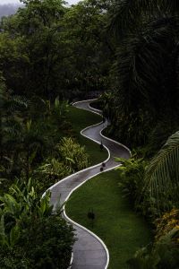 Curved concrete garden path at a home in Virginia 